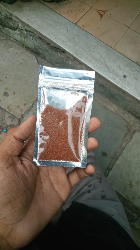 Aquatic Double Leaf Aquarium Plants Seeds